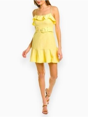 BCBGeneration Ruffled Belted Mini Dress Size 8